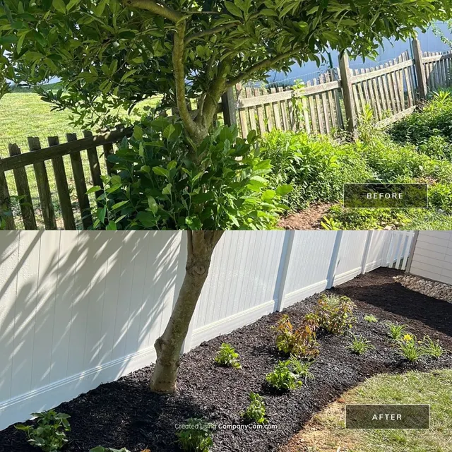 Backyard planting