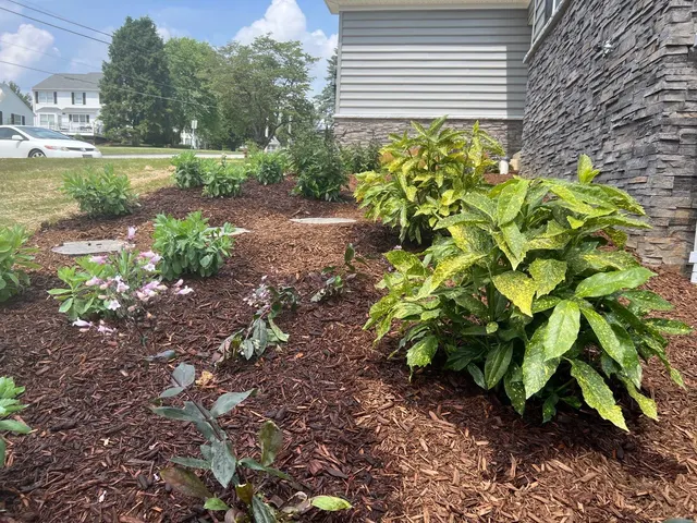 New house install