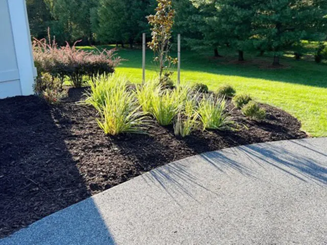 After: cleaned and mulched beds