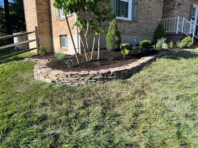 Small wall & new plantings