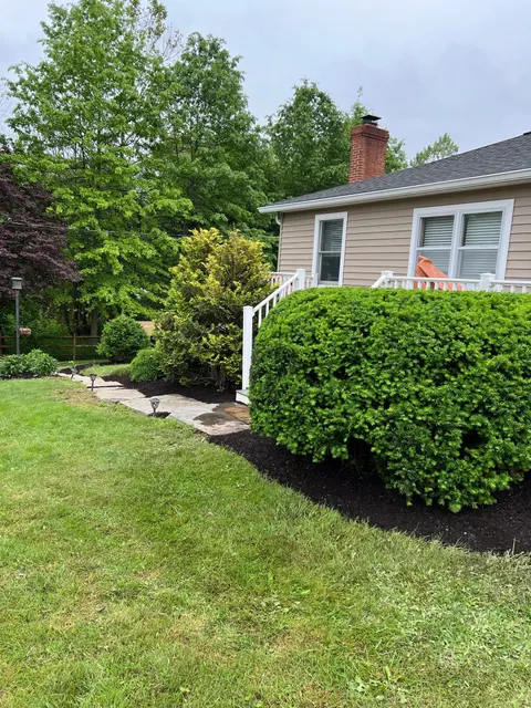 Spring cleanup