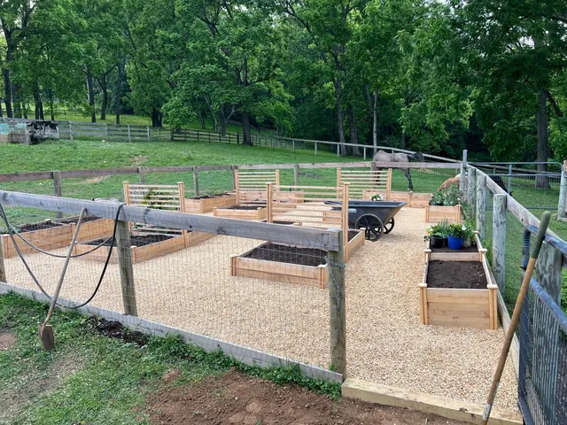 Raised beds